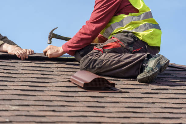 Best Roof Gutter Cleaning  in Ashland, KY